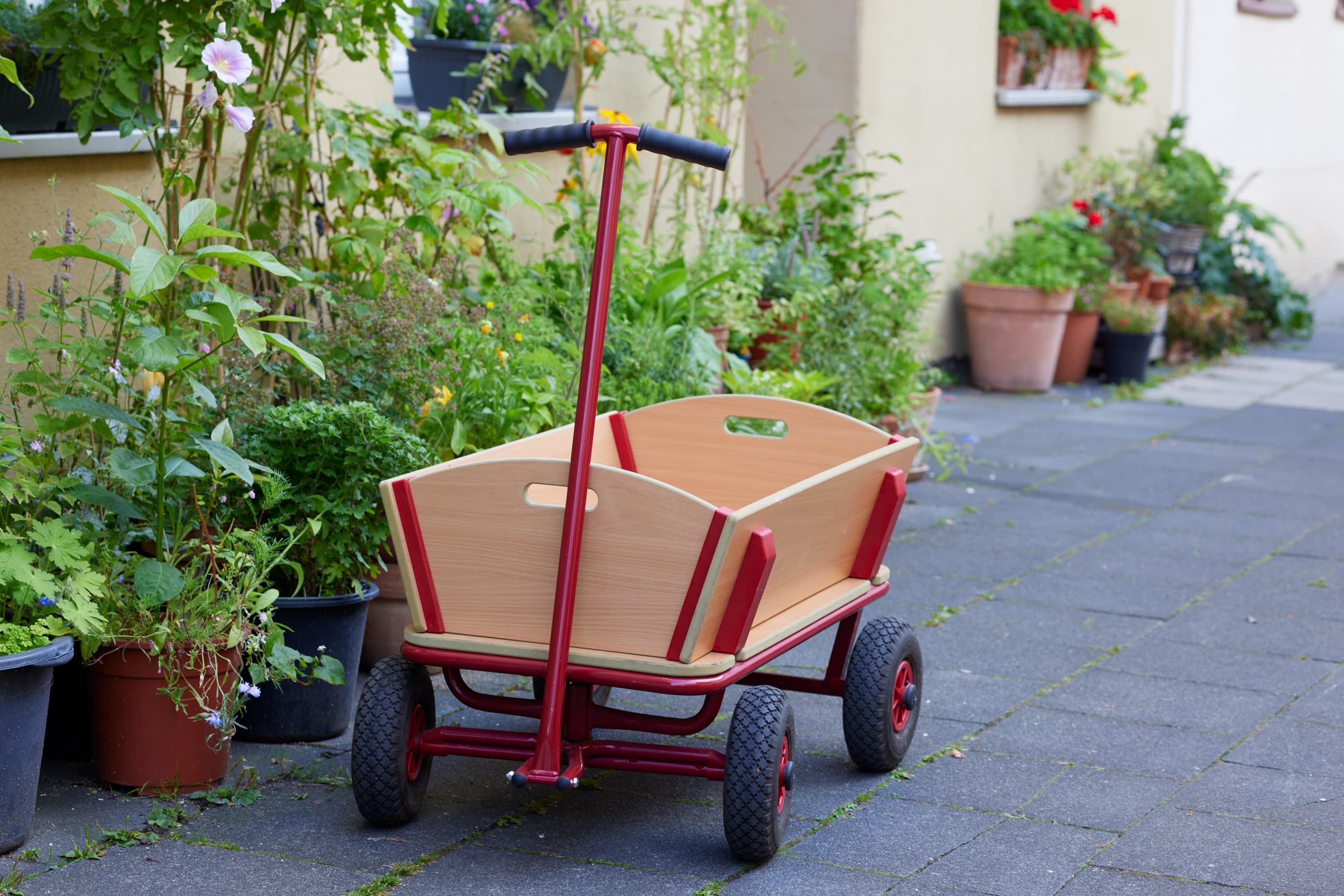 Bollerwagen vor Pflanzen auf Gehweg
